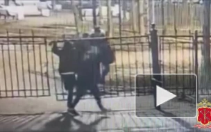 Избившие до смерти мужчину в саду Сан-Галли подростки заключены под стражу