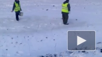 Видео очевидца: в Чувашии засеяли травой сугробы 