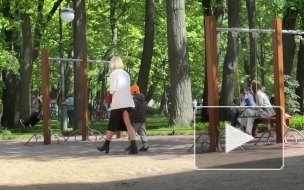 В Центральном районе Петербурга прошел социальный эксперимент с похищением детей