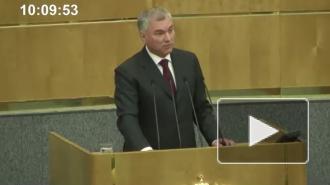 Госдума в 2020 году приняла более 550 законов