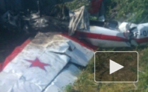 В Самарской области упал спортивный самолет, экипаж погиб