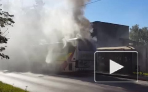 Видео с горящим автобусом в Калининграде появилось в Сети
