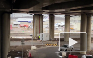  Мандарины из Свазиленда и пангасиус из Вьетнама "притормозили" на границе