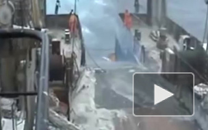 Названы версии крушения траулера Дальний Восток, на месте продолжаются поиски экипажа