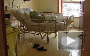 В Португалии одобрил закон об эвтаназии