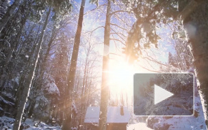 Синоптики предупредили об аномальной погоде в феврале