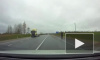 Водители объезжают навозную полосу на Мурманском шоссе