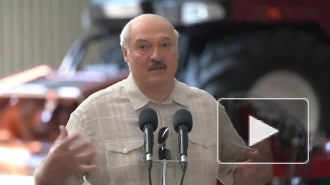 Лукашенко заявил о нежелании Белоруссии нападать на Украину