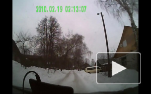 Видео: женщина на собачьей упряжке протаранила Lada в Иванове