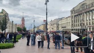 Акция "Кормим голубей" снова стартовала в центре Петербурга