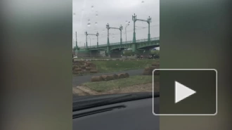 В Петербурге сняли газон после торжественного открытия путепровода