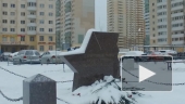 Дети признаются в любви Шушарам