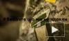 Украинские военные запустили флешмоб #извинитечтомынесдохли