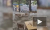 В Геленджике из-за дождей подтопило улицы