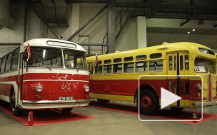 Гламурные Икарусы и винтажные ПАЗы открыли форум транспорта