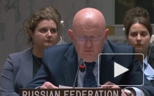 Небензя назвал очевидной террористическую суть киевского режима