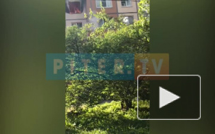 Что случилось в Петербурге 24 мая: фото и видео
