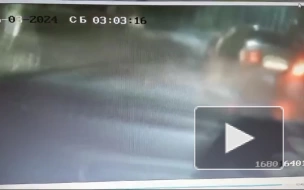 В Ленобласти полицейские в ходе погони с применением оружия задержали нетрезвого 18-летнего водителя