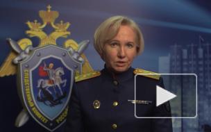 СК возбудил дело после загрязнения Авачинского залива на Камчатке