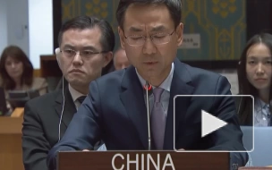Постпредство КНР в ООН: ряд стран хотят скрыть данные о диверсии на «Северных потоках»