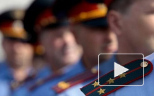 День полиции: лучшие поздравления для полицейских в стихах и прозе, короткие и прикольные