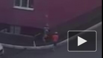 Чудовищное видео из Пензы: Дети швыряли и кидали мертвую собаку