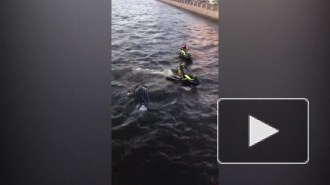 Видео: Гидроциклист врезался в теплоход на Фонтанке