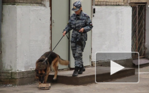 Заложенной в школе бомбе не поверили даже дети