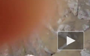 Погибший экстремал Ратмир Нагимьянов незадолго до смерти говорил об опасности 