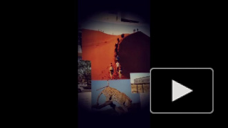 L'illusion de la vie...