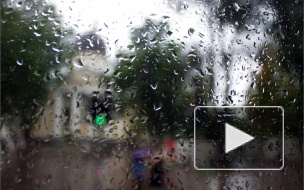 В Петербурге из-за дождя выходят из строя светофоры