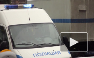 В Кемеровской области собака 10 дней охраняла убитого ножом хозяина и привлекала внимание лаем