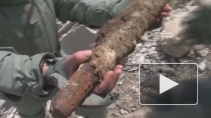 В крепости Керчь нашли фугас и 1700 боеприпасов времен ВОВ