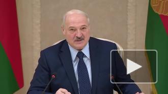 Лукашенко заявил о готовности строить морской терминал в России