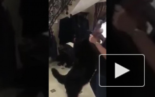 Видео танцев с поцелуем генпрокурора Украины с собакой разлетелось по интернету