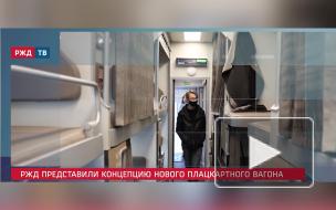 В РЖД анонсировали запуск нового плацкарта с удлиненной полкой