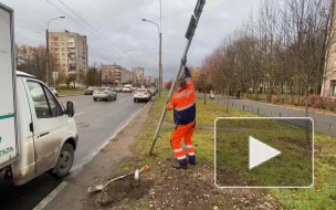 Прокуратура добилась установки знаков для инвалидов на парковке в Калининском районе