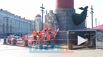 Ростральные колонны закрыли строительными лесами для реставрации