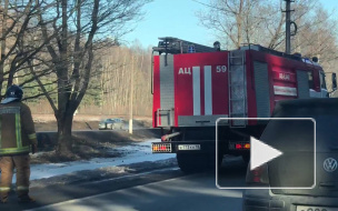 Видео: в ДТП на Приморском шоссе водитель сбил столб