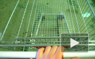 dizzy trolleys