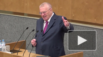 Жириновский предложил Путину сократить новогодние каникулы