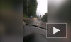 На Колтушском шоссе в ДТП погиб мотоциклист 