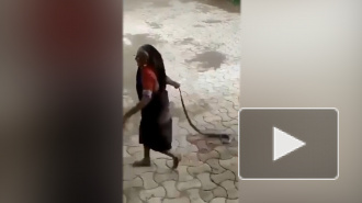 Бесстрашная старушка проволокла кобру за хвост по улице