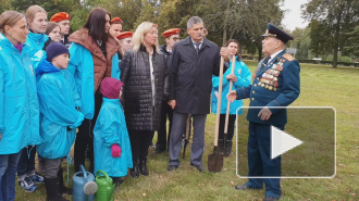 В Пискаревском парке в рамках акции "Лес Победы" высадили 75 елей 