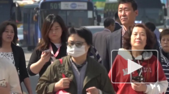 Мишустин сообщил о ежедневных докладах Путину о борьбе с коронавирусом