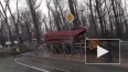 Жуткое видео из Ростова-на-Дону: дерево упало на КАМАЗ и...