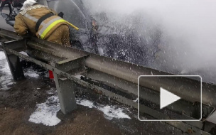 Все происшествия Петербурга за 3 июля: фото и видео