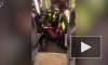 В Англии пассажиру поезда во время задержания выбили зубы за отказ показать билет