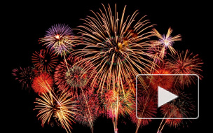 МЧС Санкт-Петербурга опубликовал список площадок для запусков фейерверков в Новогоднюю ночь