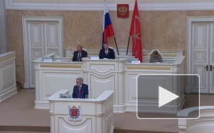 Шишлову отключали микрофон во время речи о спецоперации в ЗакСе Петербурга